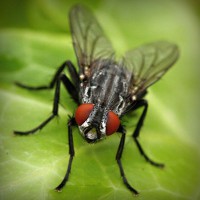 /album/soramota/photolia-a01-jpg/