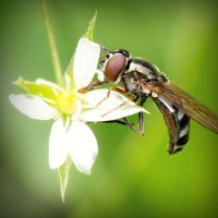 /album/soramota/photolia-a02-jpg/