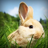 /album/soramota/photolia-a03-jpg/