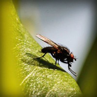 /album/soramota/photolia-a04-jpg/