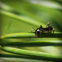 /album/soramota/photolia-a05-jpg/