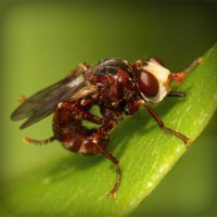 /album/soramota/photolia-a06-jpg/