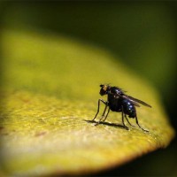 /album/soramota/photolia-a07-jpg/