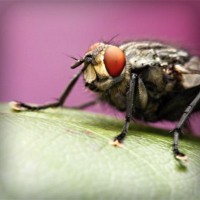 /album/soramota/photolia-a08-jpg/